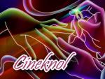 Trouwvideo/Trouwfilm/videograaf